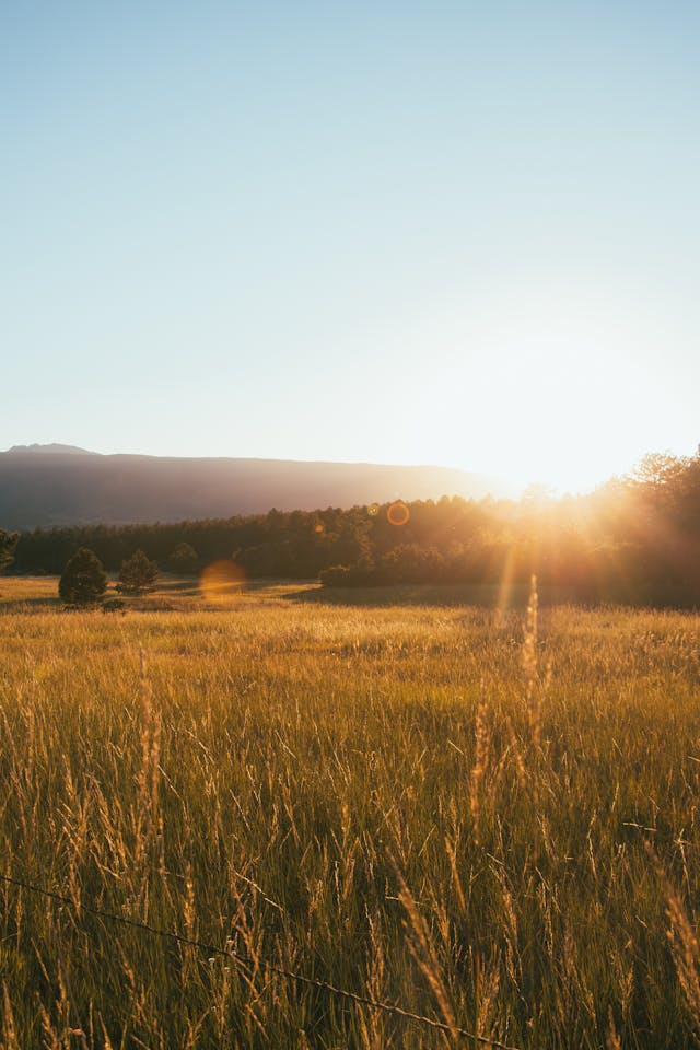 Photographer at golden hour